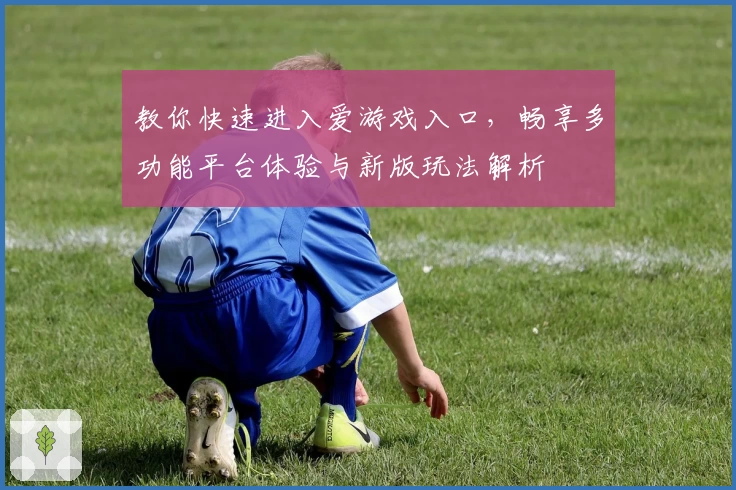 教你快速进入爱游戏入口，畅享多功能平台体验与新版玩法解析