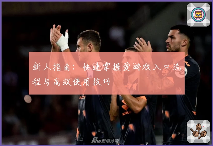 新人指南：快速掌握爱游戏入口流程与高效使用技巧